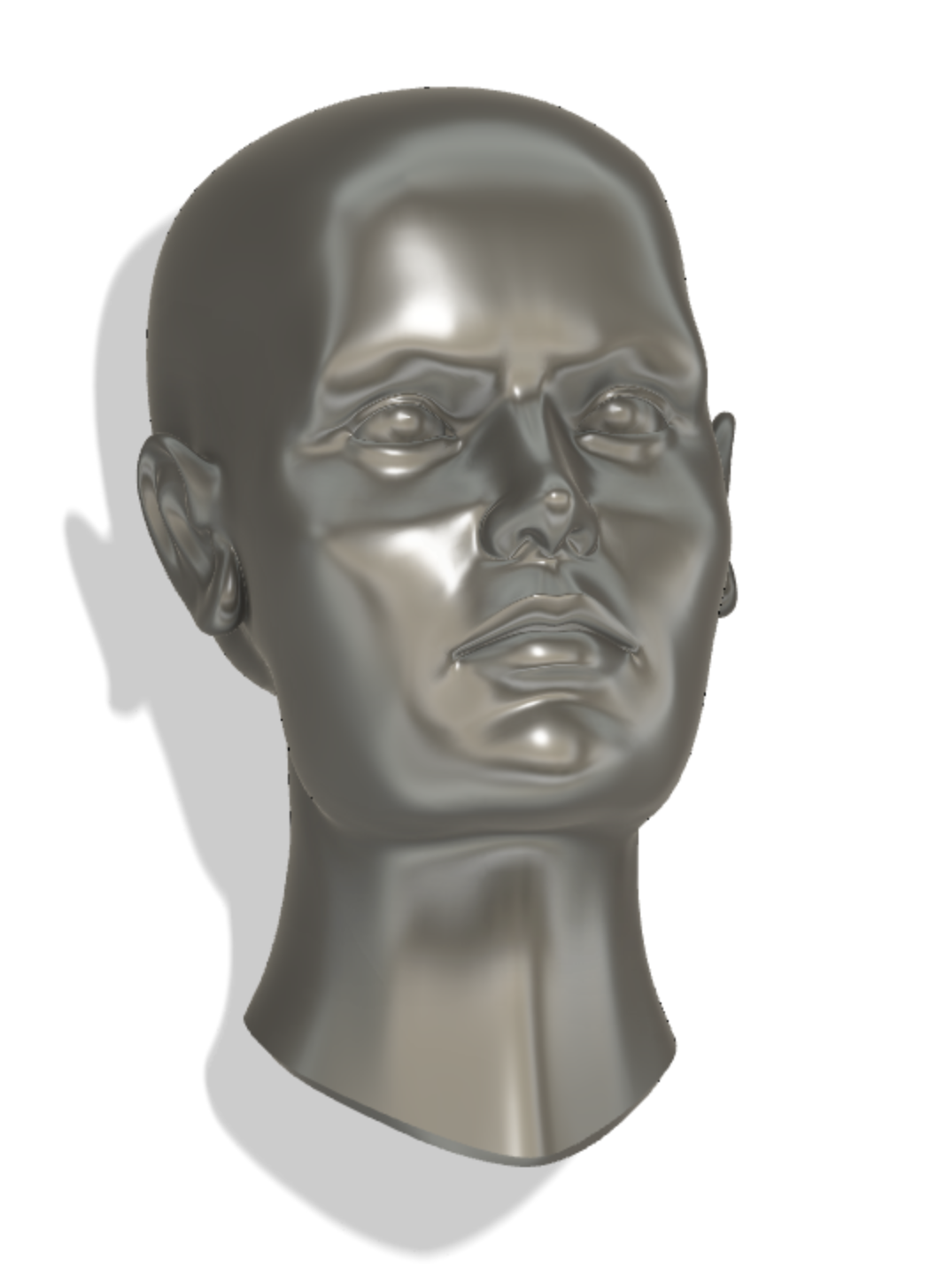 Head Model