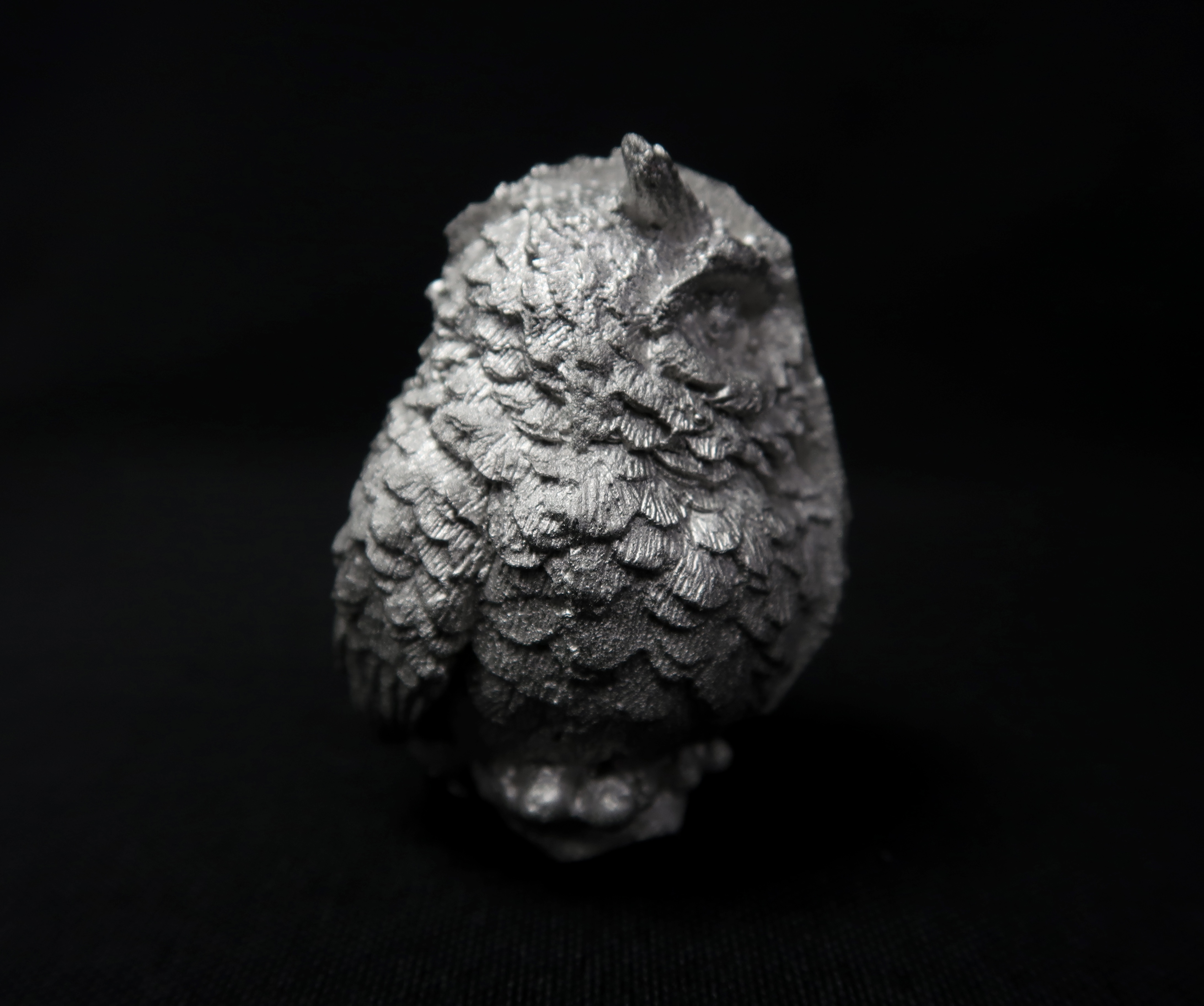 Owl Detail Shot